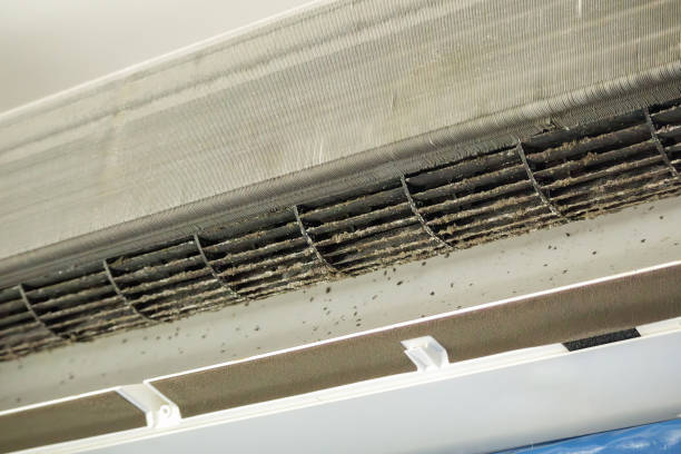 Best Affordable Duct Cleaning Services  in Clanton, AL